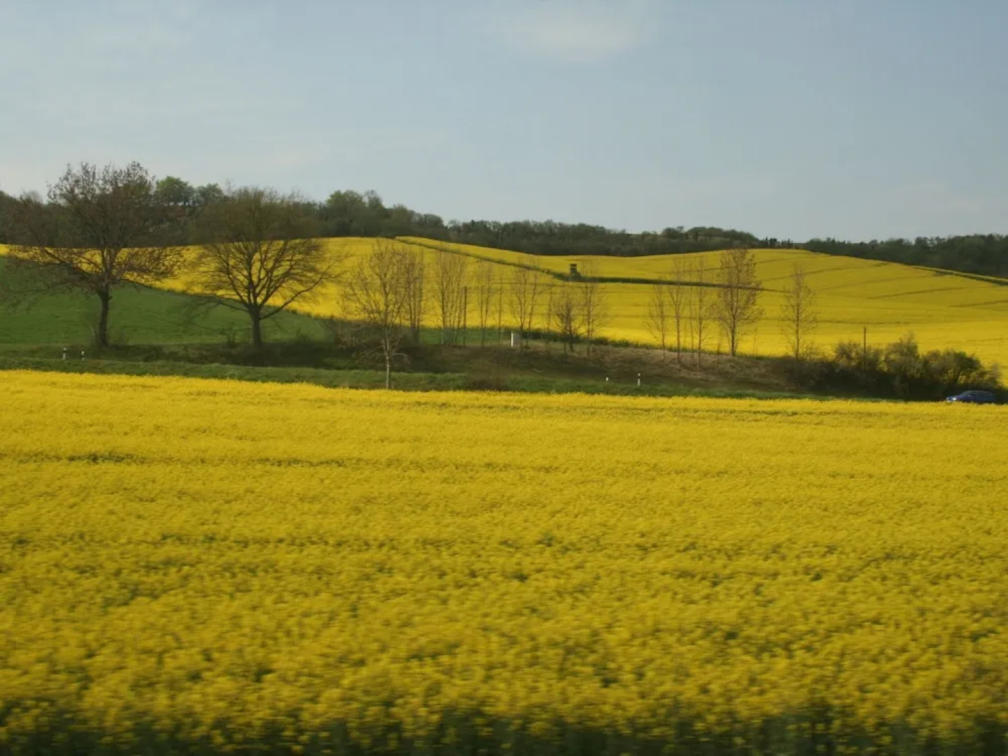Alluring Apartment near Lake Edersee in Half Timbered House with Terrace