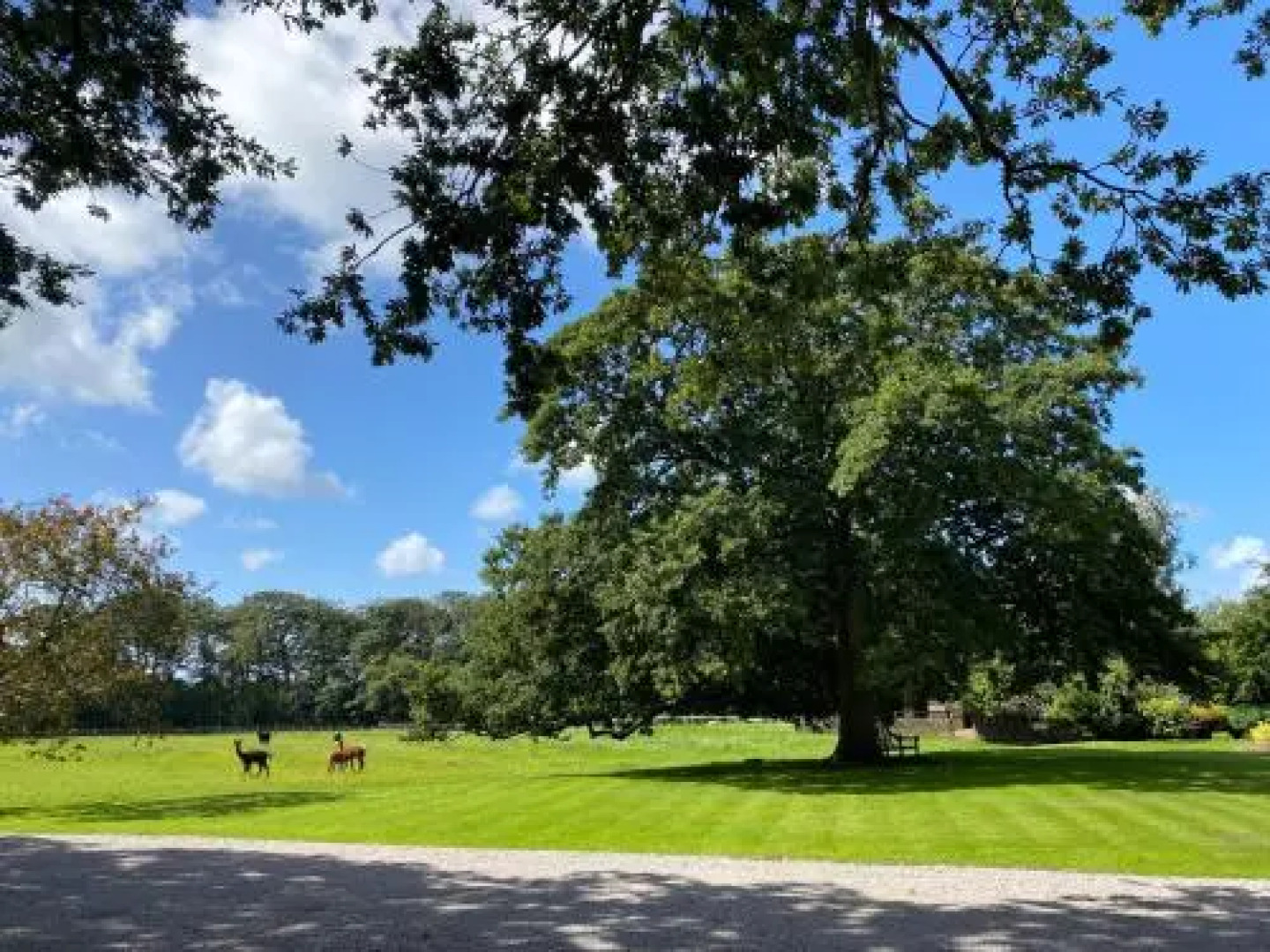 Singleton Lodge Country House Hotel