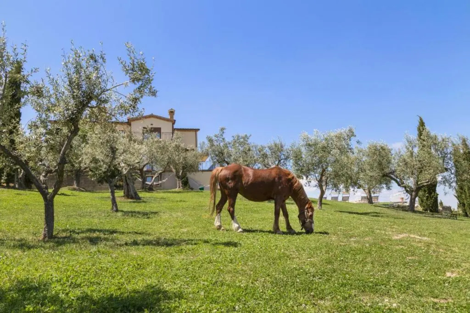 Agriturismo Le Bosche