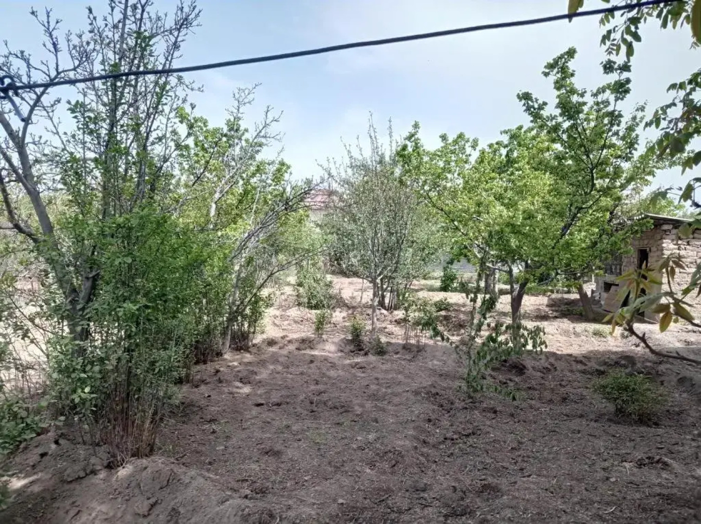 Happy Hostel in Tamga