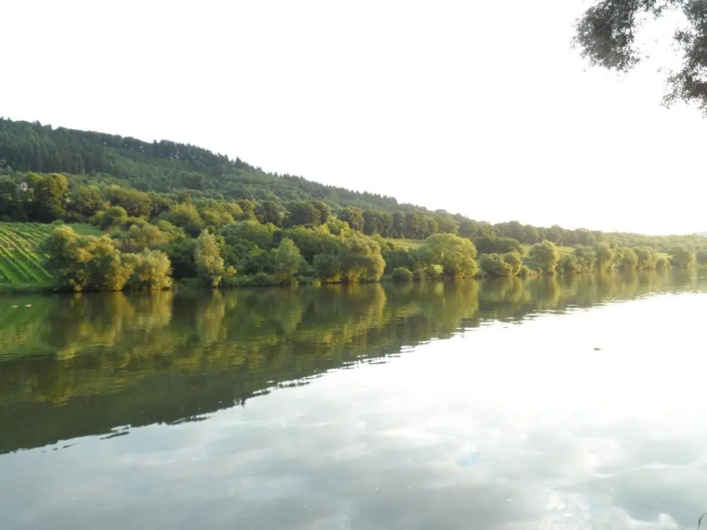 Ferienhaus am Fährkopf