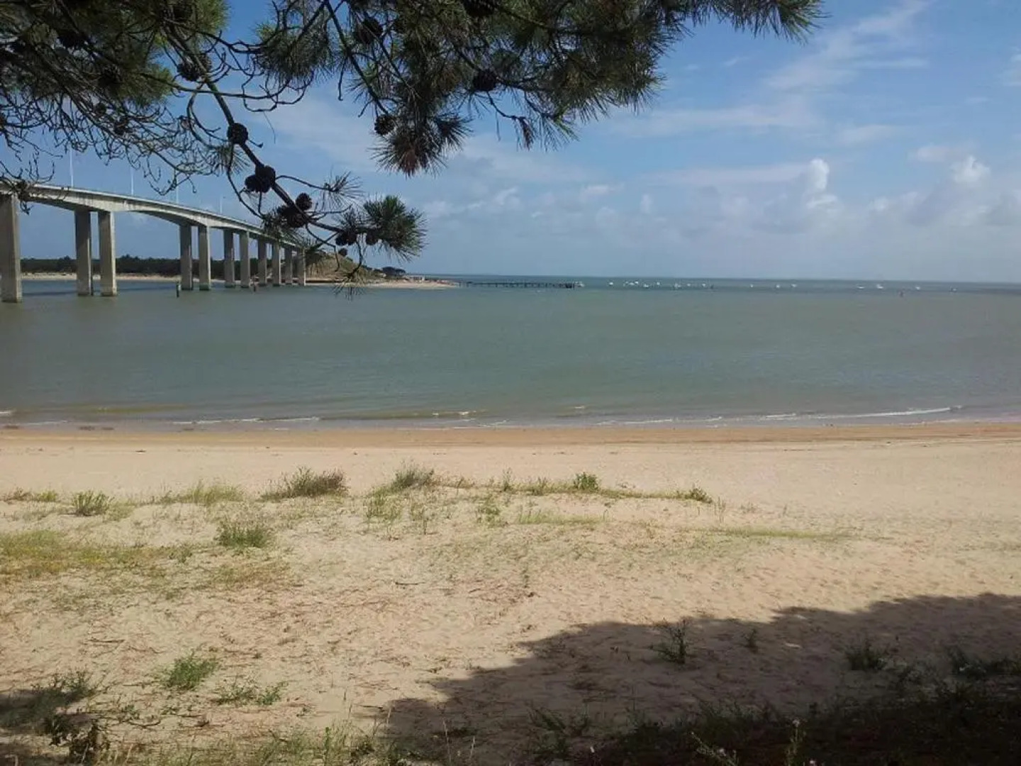 Maison La Barre-de-Monts, 2 pièces, 4 personnes - FR-1-473-18