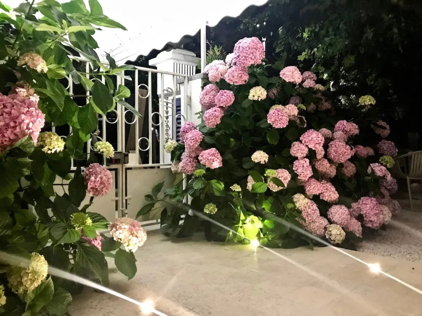 Petit Hotel - Hotel a 3 stelle a Lido di Camaiore