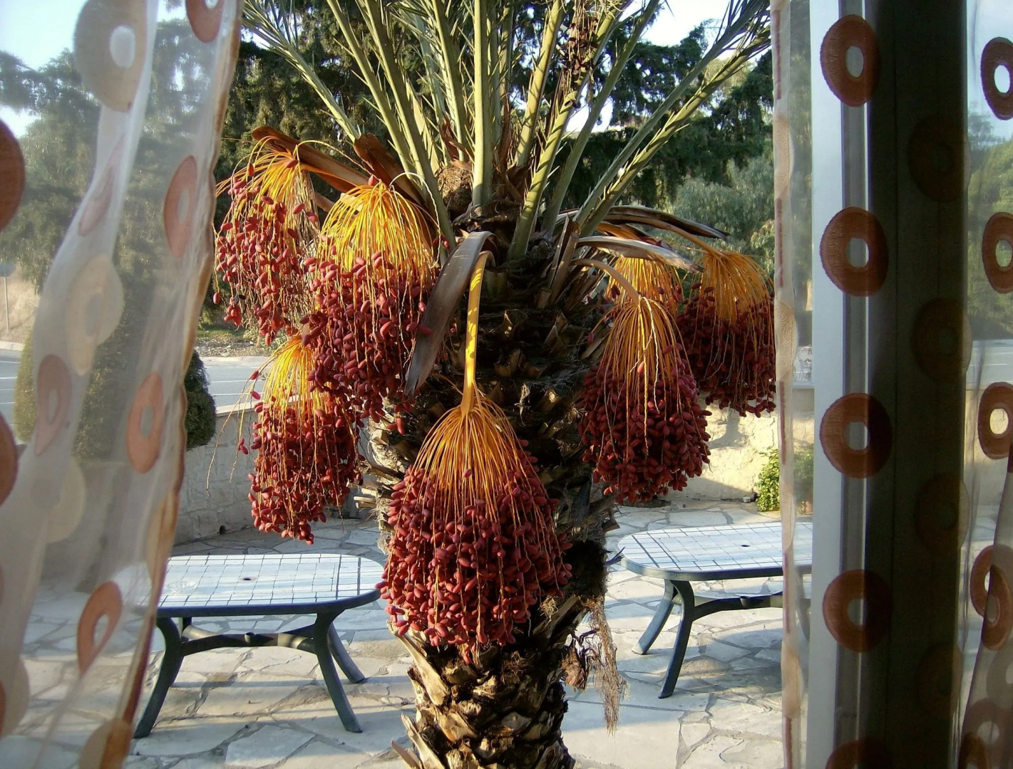 Rantzo Holiday Apartments