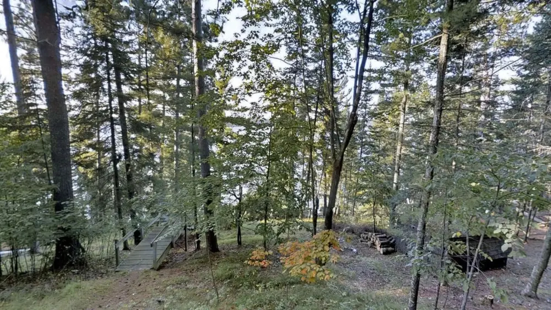 Big Trout Rustic Cabin
