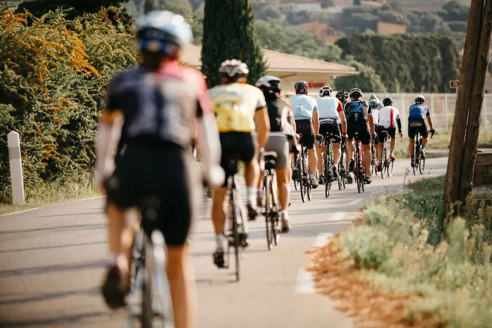 La Ferme des Bélugues