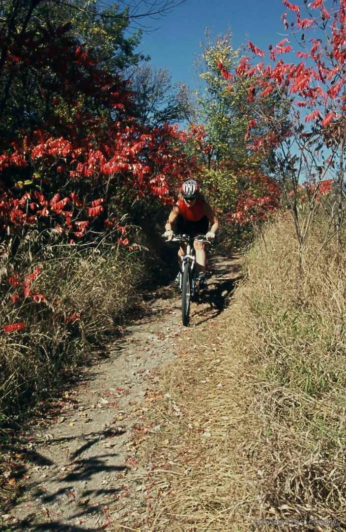 Travelodge by Wyndham Sudbury