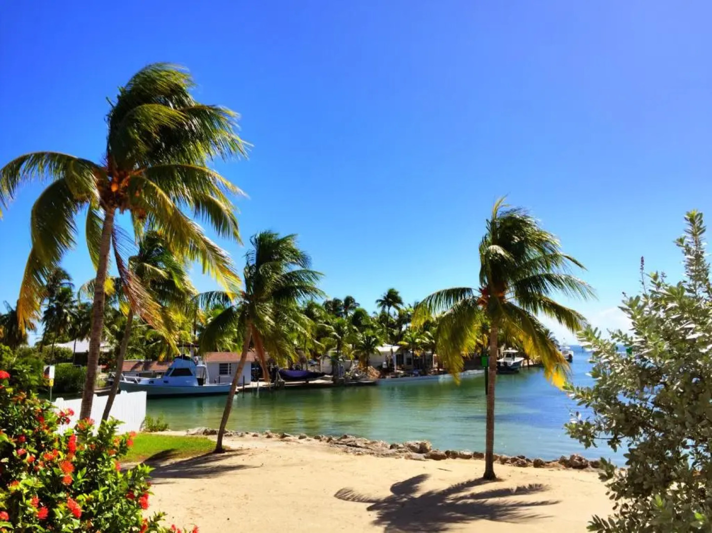 Caloosa Cove Resort & Marina