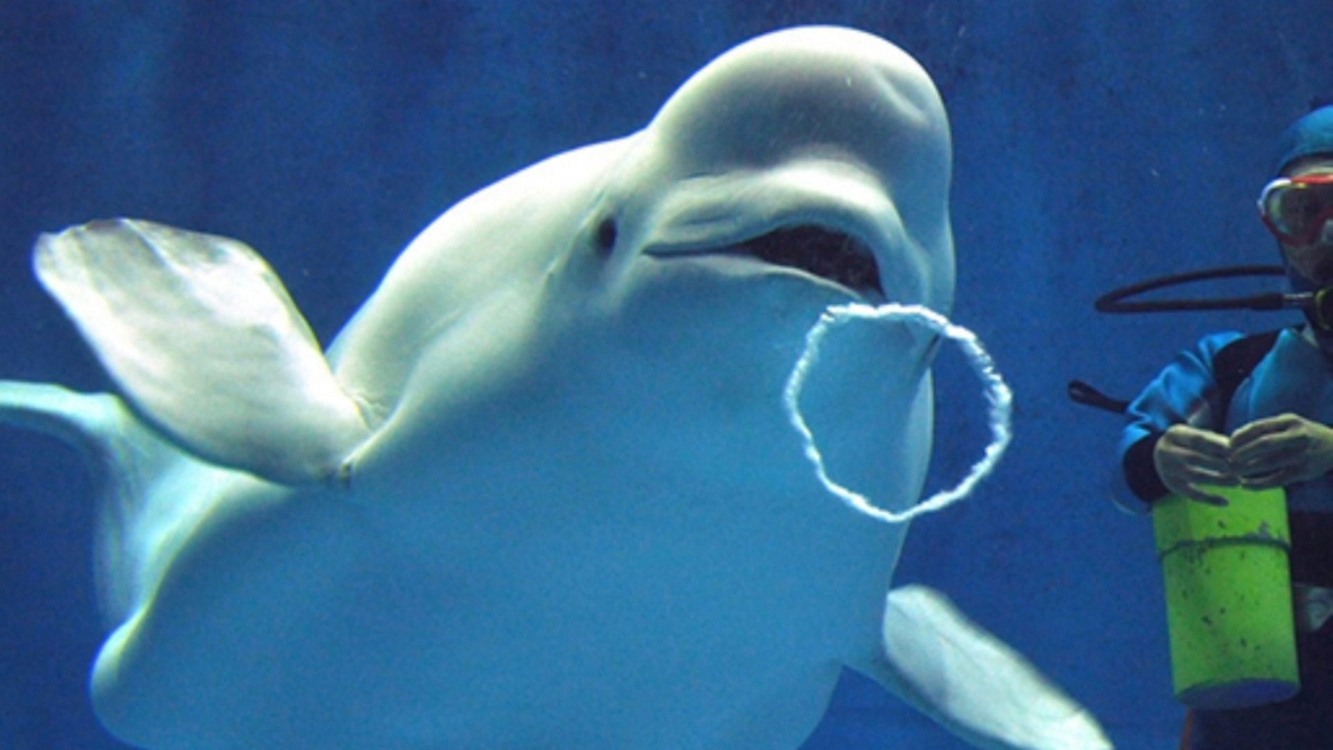 Mimata Onsen Kanagikanko Hotel