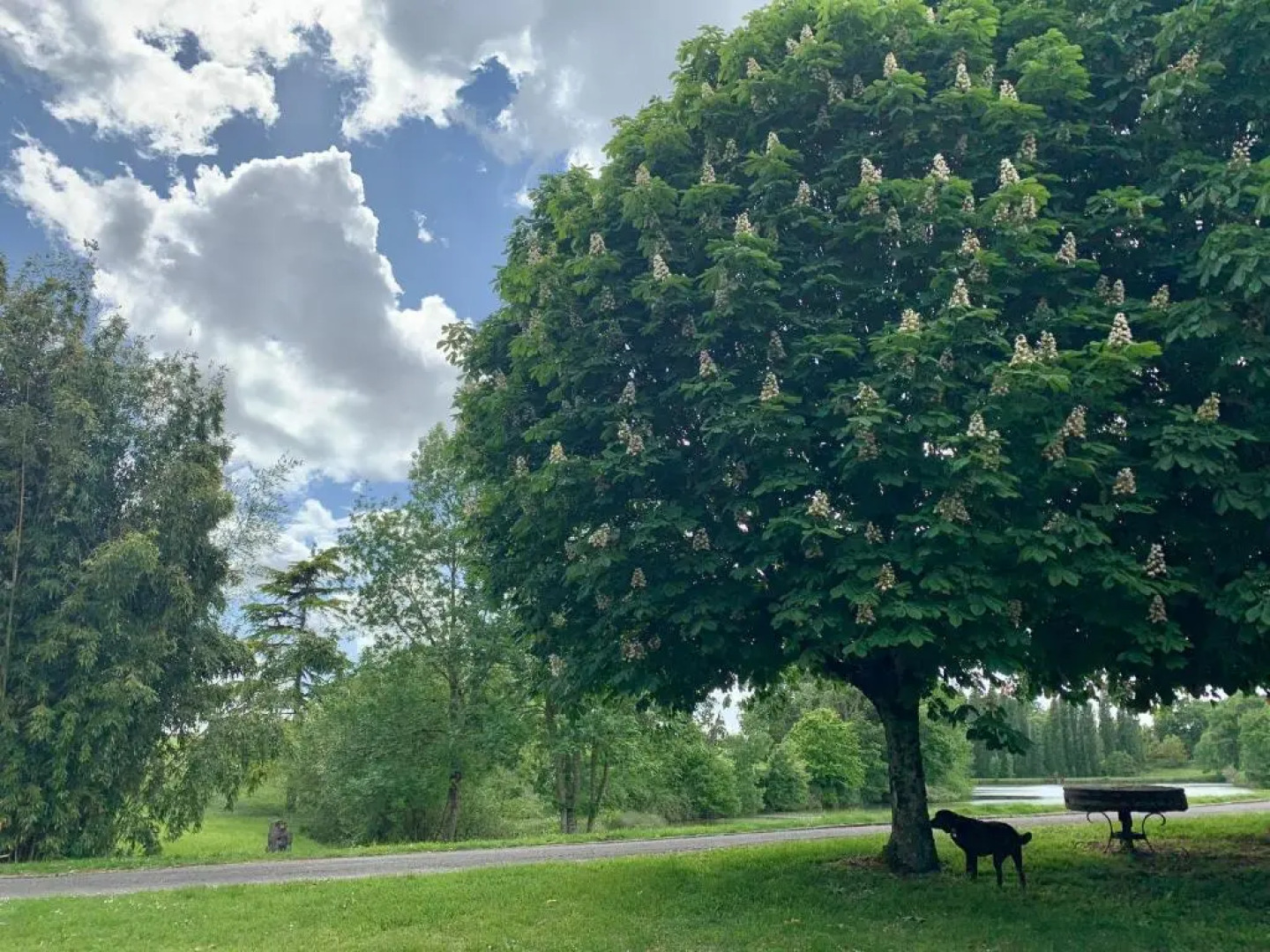 Domaine Du Pont Salmois