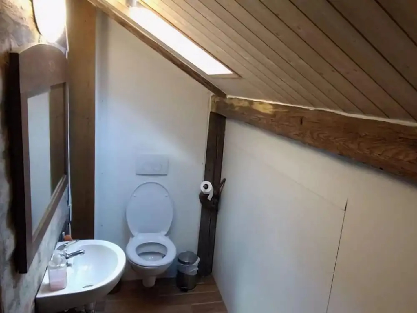 Chalet in Ore Mountains Near Ski Slopes