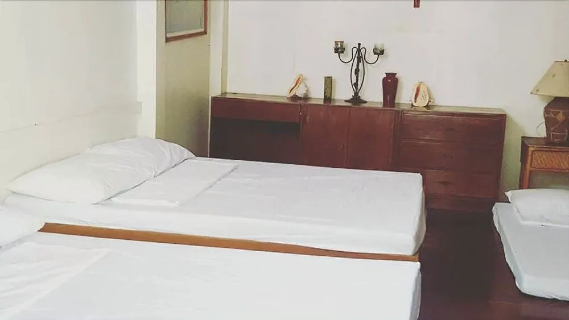 The Pelicans Castaway