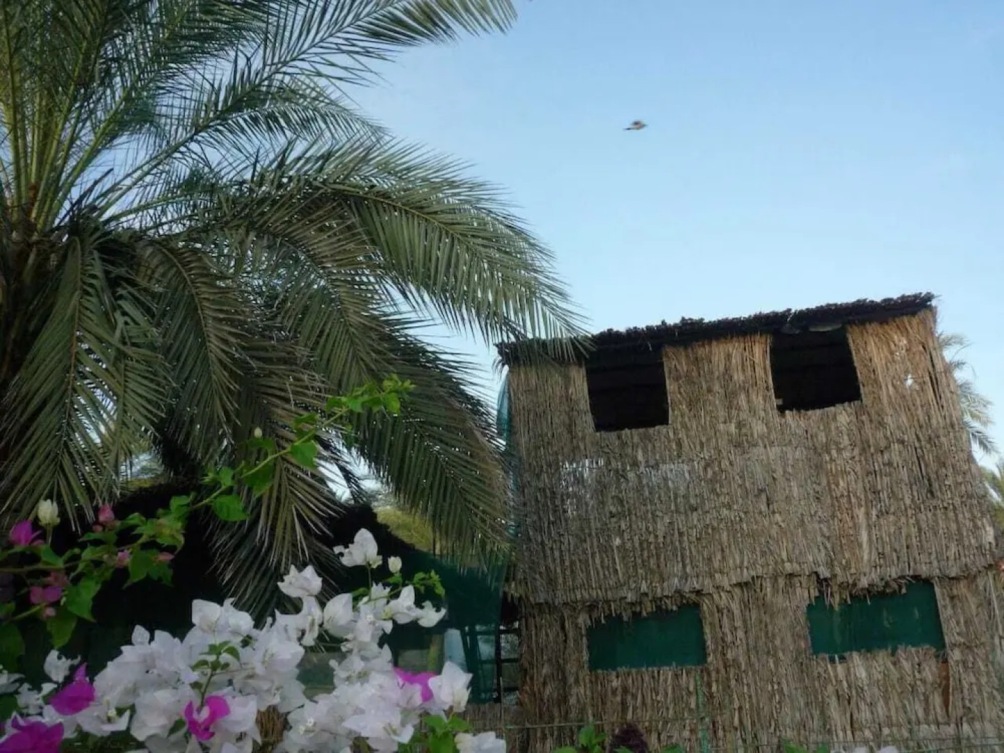 Hanaa Resort - Jalan Bani Bu Ali