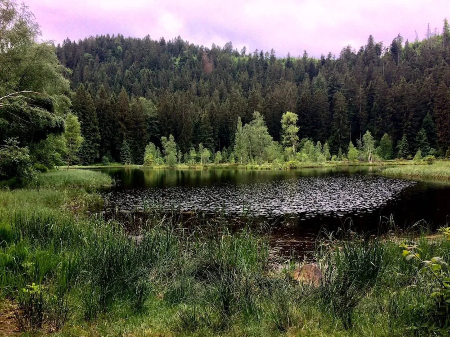 Engel Obertal Wellness & Genuss Resort