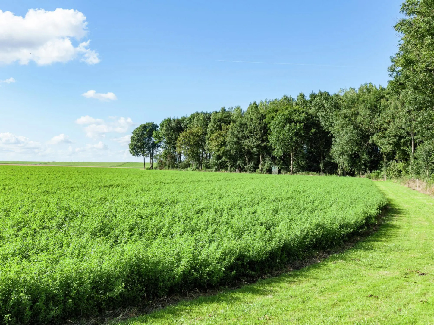 Peaceful Vacation Home With Wide View