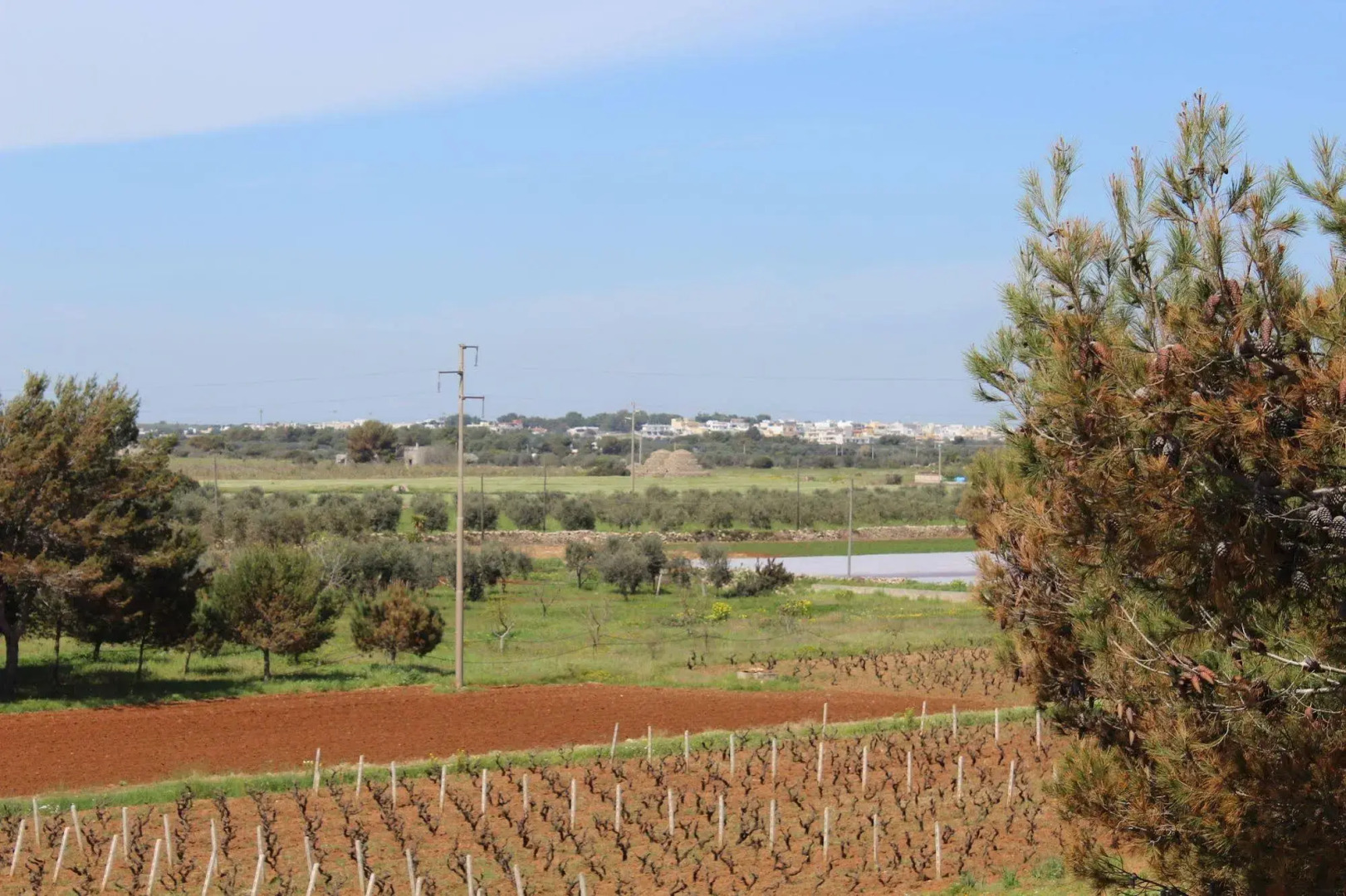 Villa Salentonthebeach