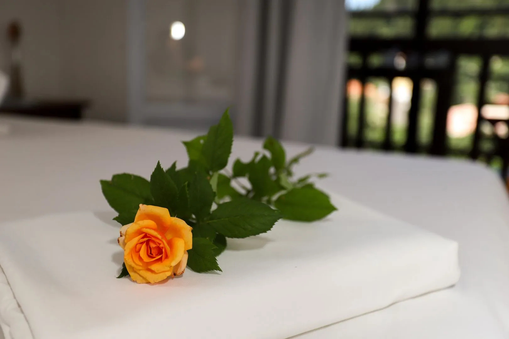 Bastas Hotel & Studios
