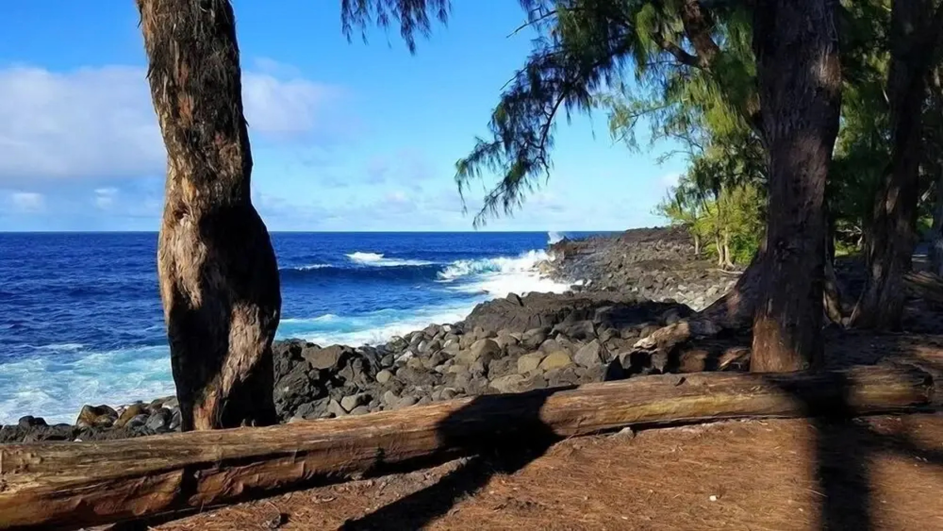Hale O'hia Lehua 3 Bedroom Home by RedAwning