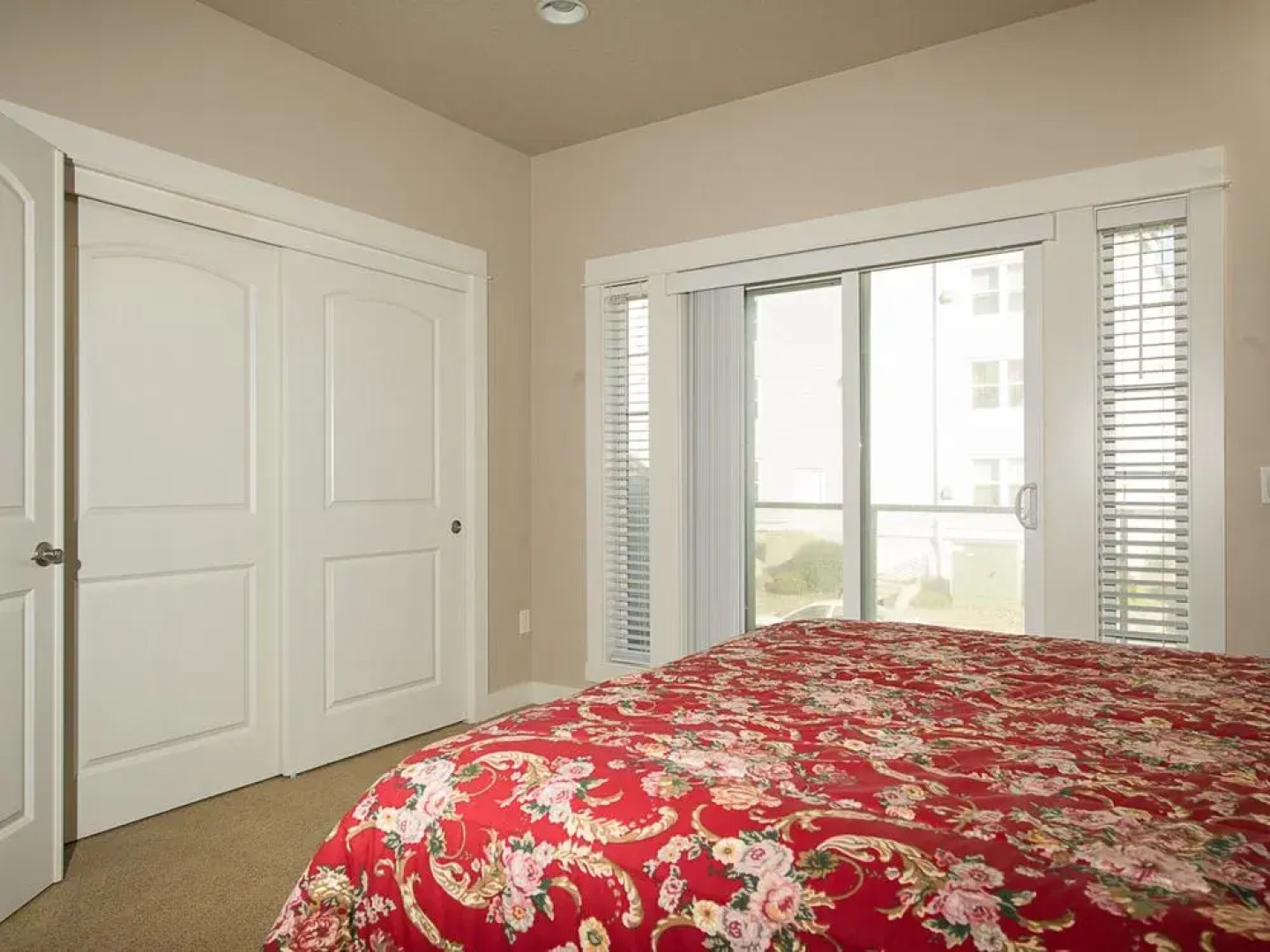 Shell Belle by RedAwning