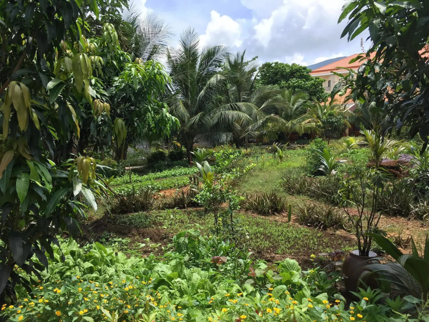 Tan Son Nhat Con Dao Resort