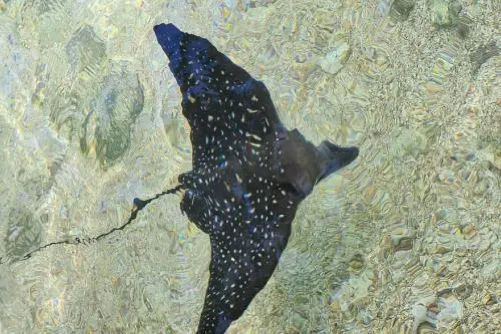 Tahiti Private Island by Tahiti Homes