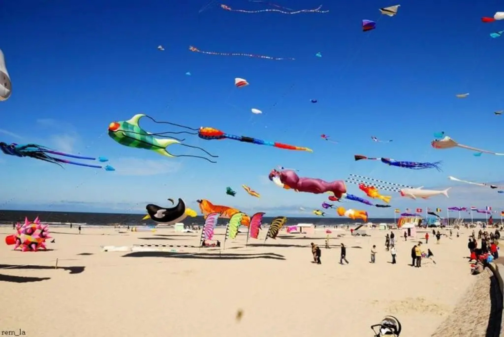 Appart 2-4 pers Berck-Plage Hyper-centre