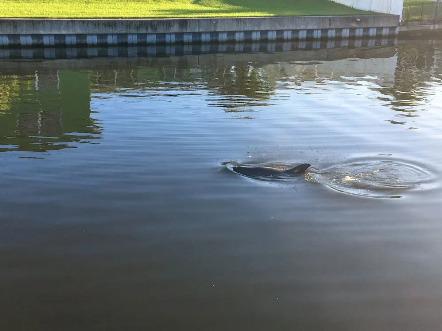 8723 Tampa - 3 Br Home