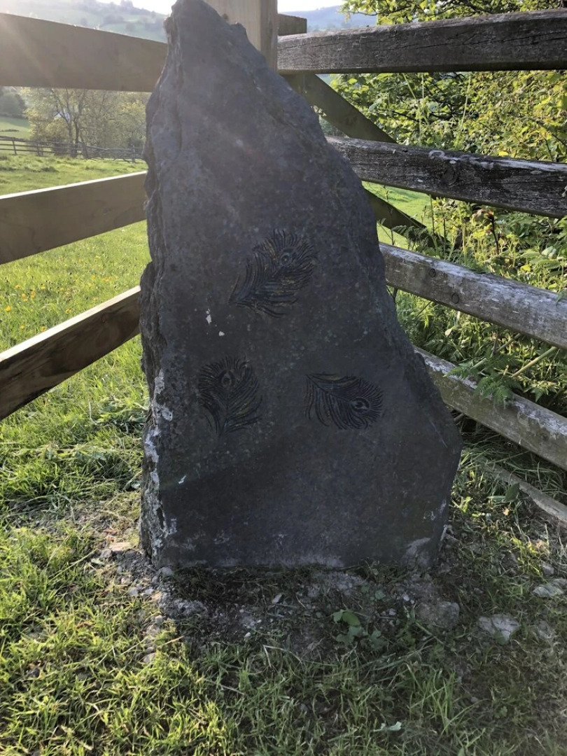 The Peacock Shepherds Hut at Hafoty Boeth