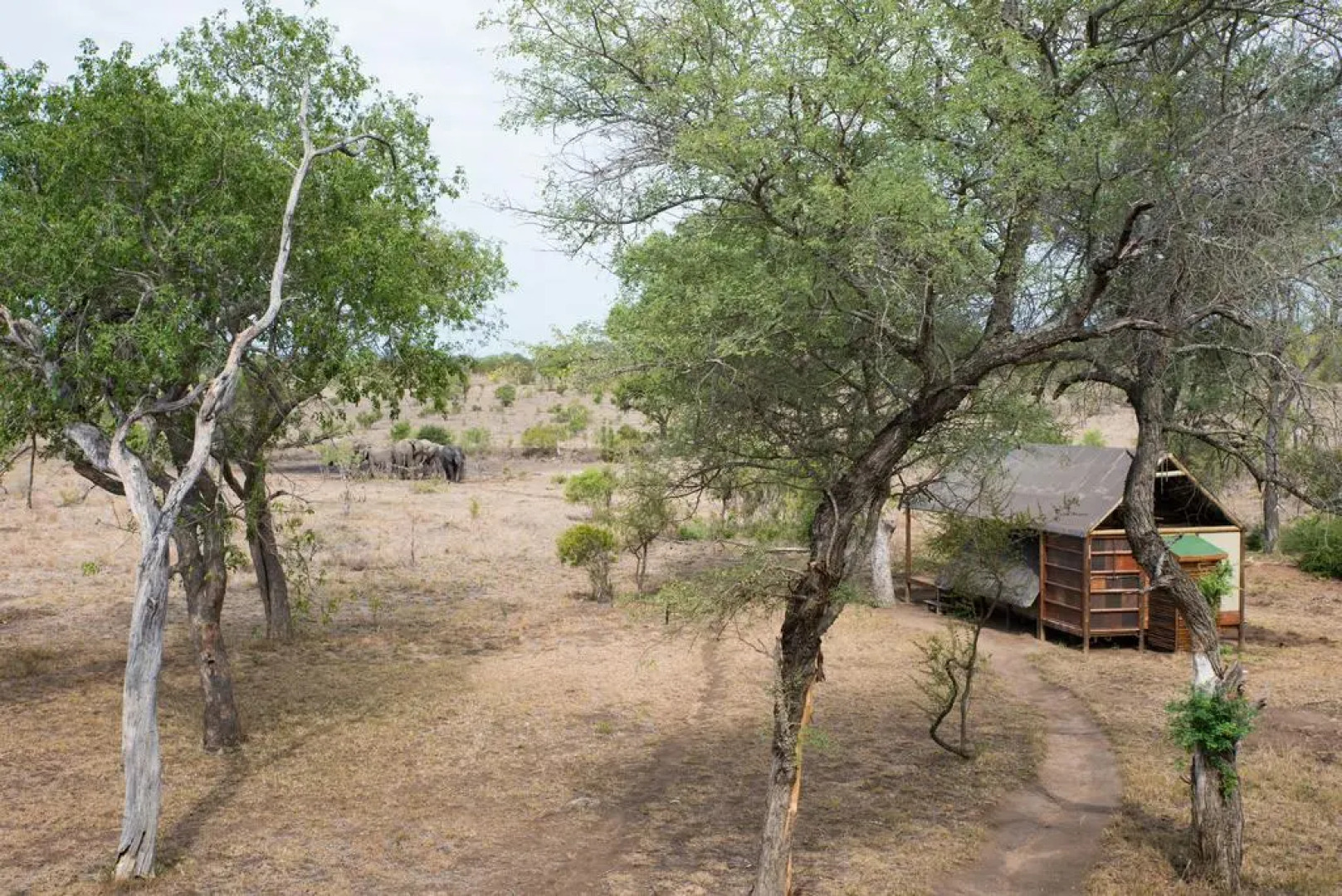 Buffelshoek Tented Camp