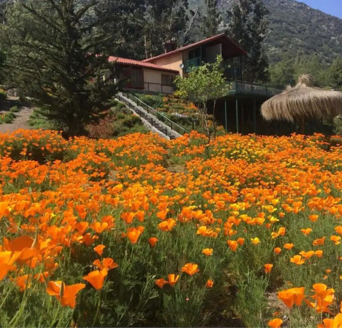 Miramonte B&B - Adults Only