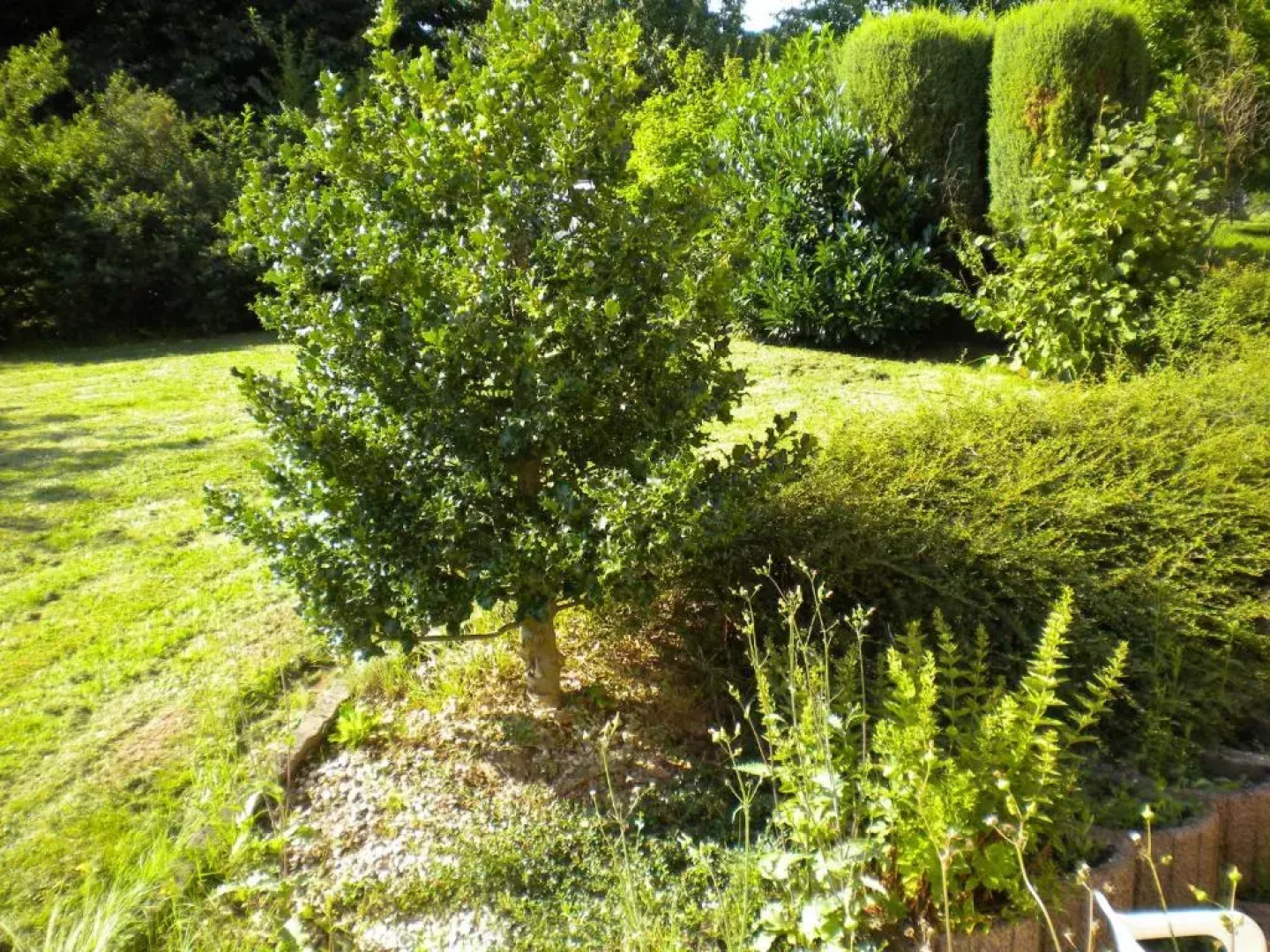 Appartement à l'ange