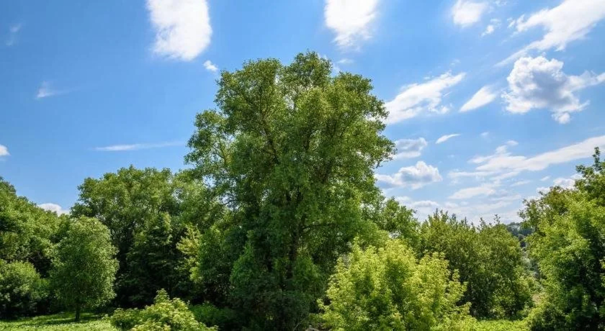 Mini Hotel Na Avtovokzale