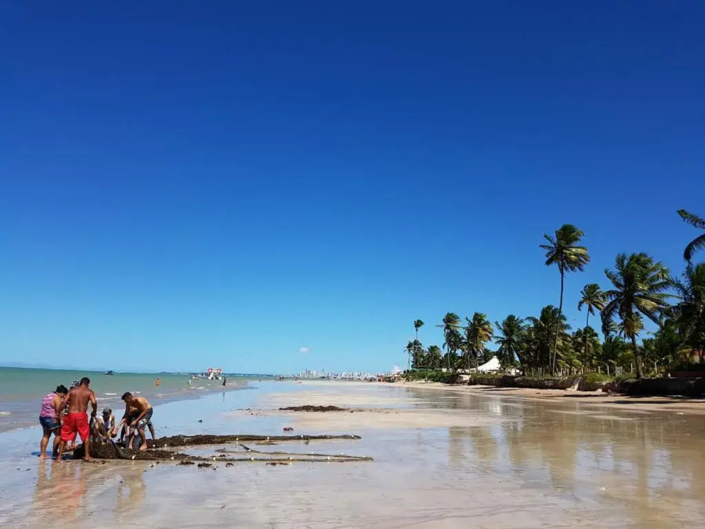 Victory Flat Intermares n 64