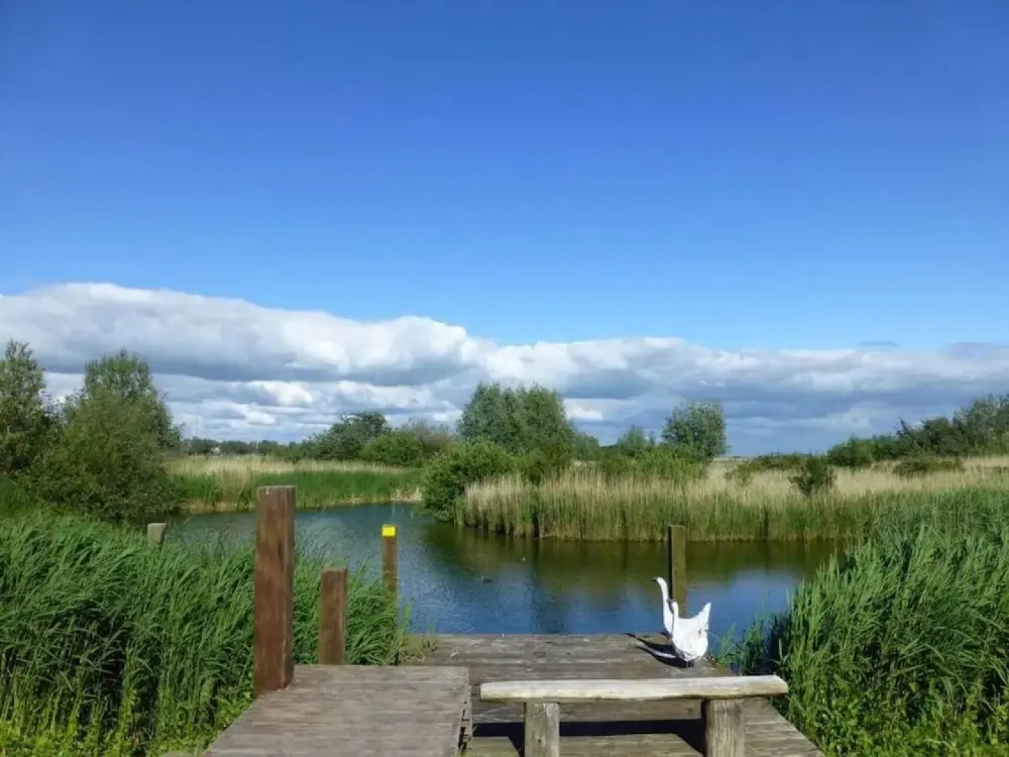 Beachvilla Ijsselmeerblik