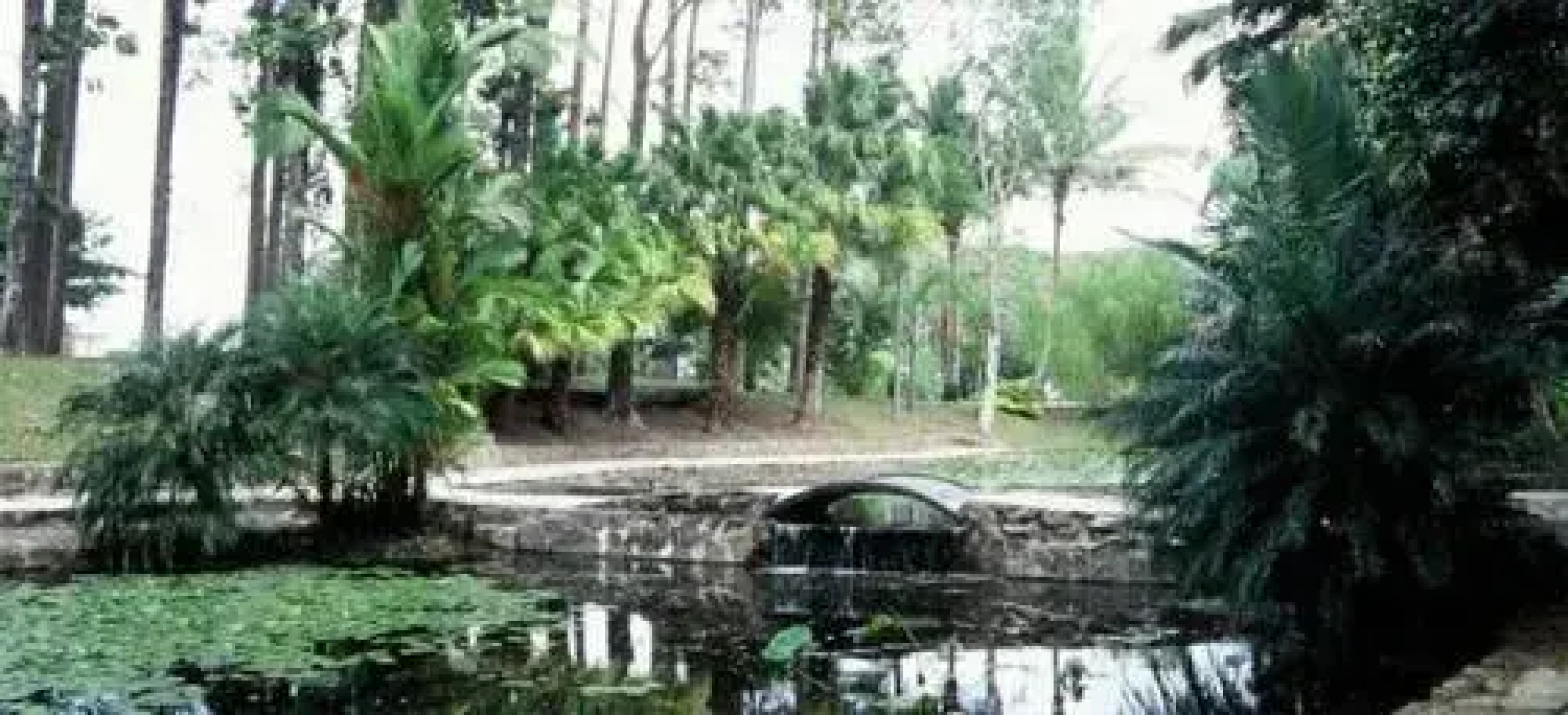 Tropixx Motel & Restaurant