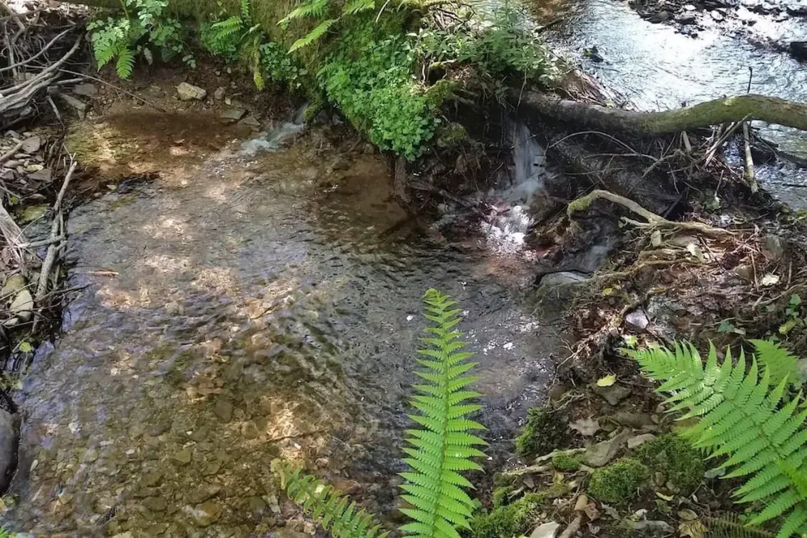Roundhouse Yurt, Stunning Views, Totnes Dartmouth