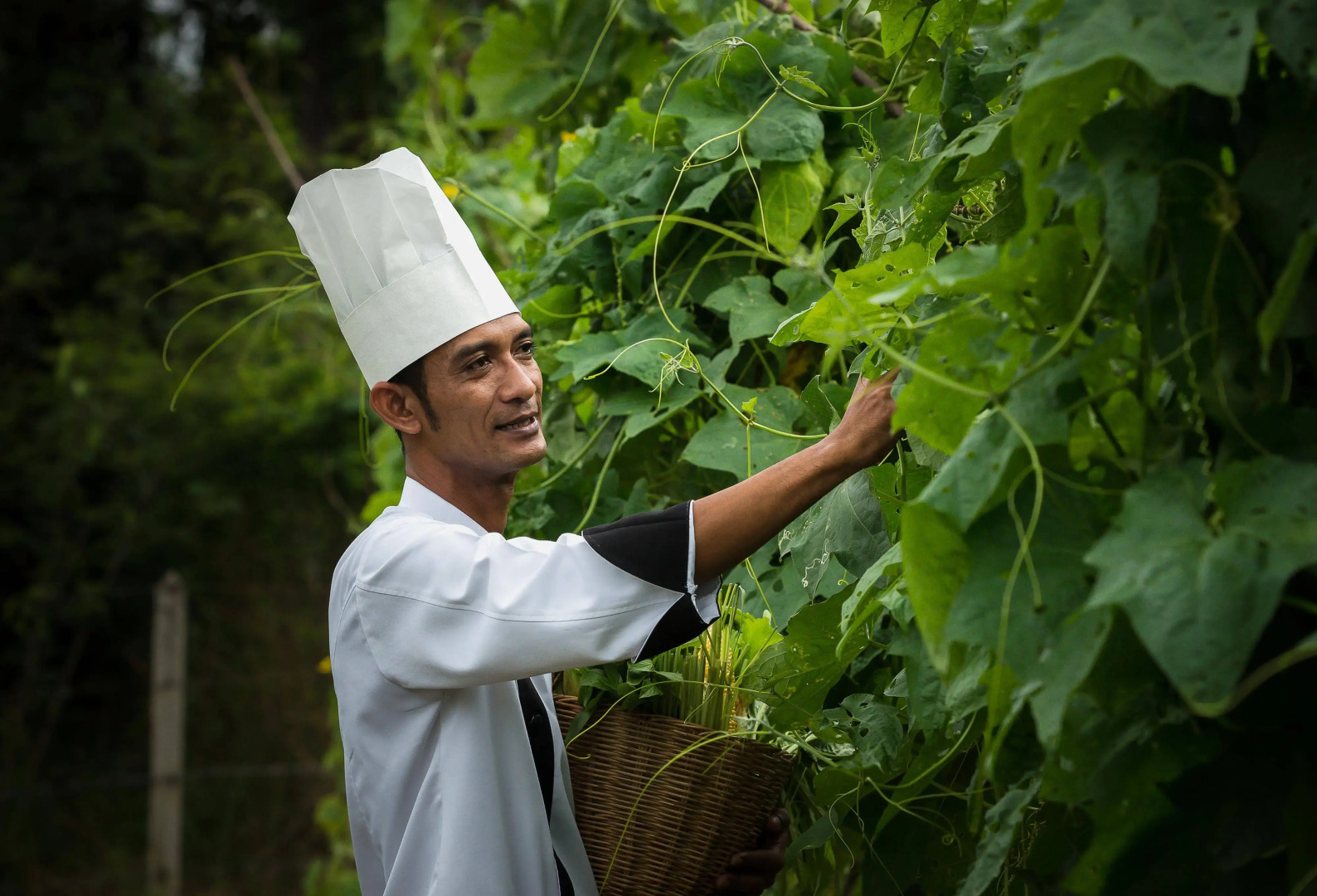 Baywater Resort Koh Samui