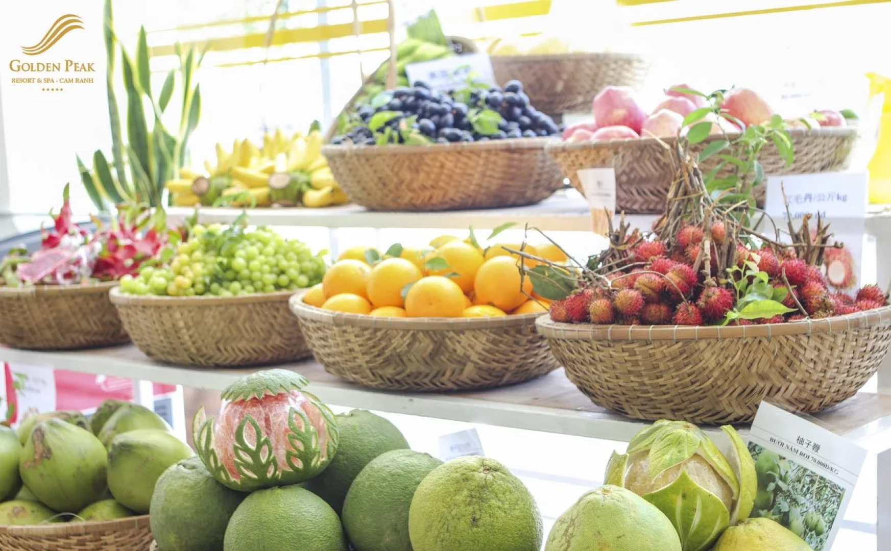 Golden Peak Resort & Spa