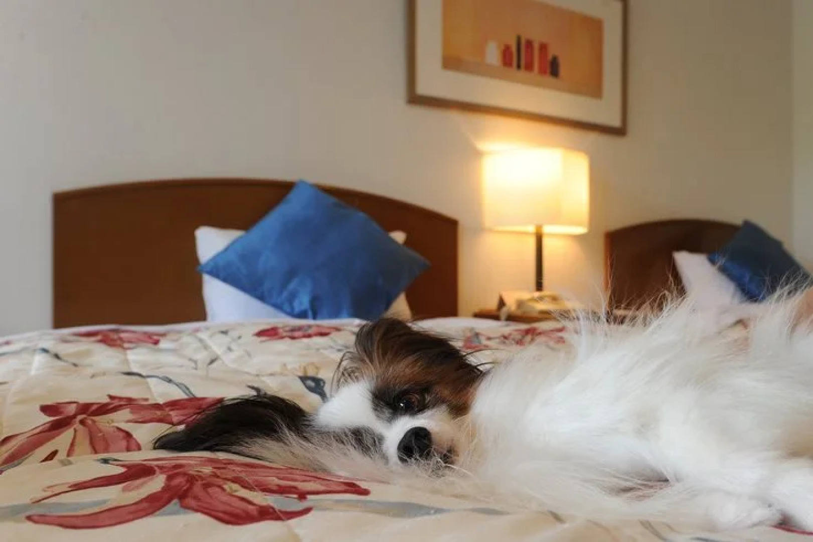 Shizunami Resort Swing Beach Hotel