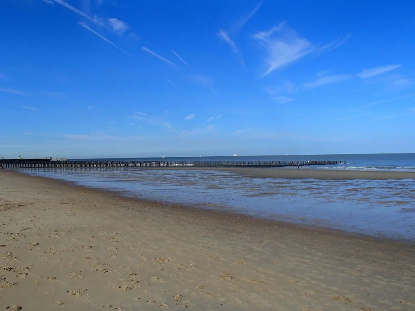 New and Luxury Farmhouse Within Short Distance of the Beach in Cadzand Bad