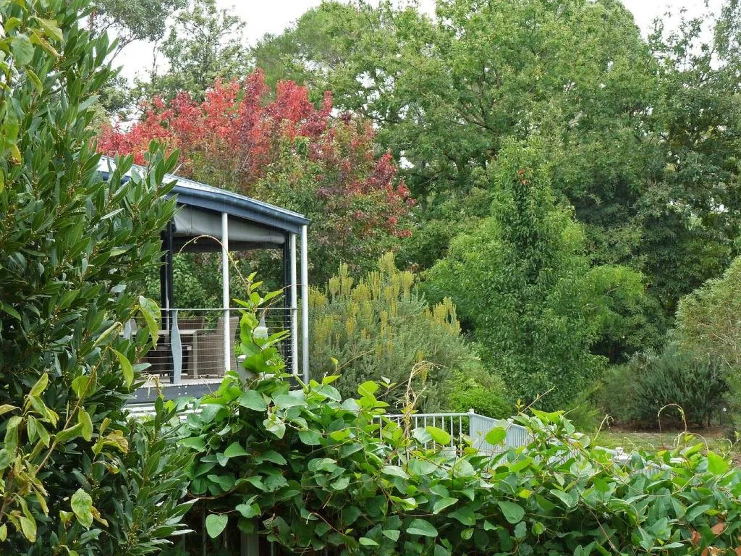 The Linden Bed and Breakfast