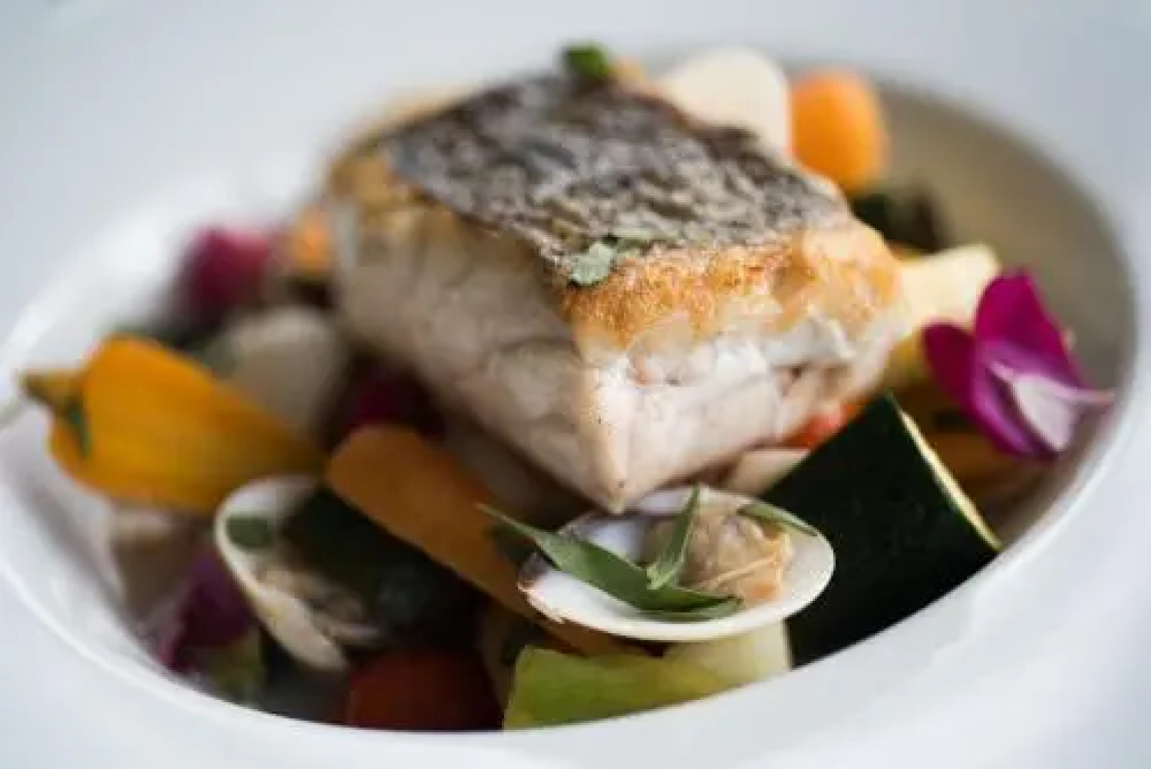 Bron Eifion Country House Hotel