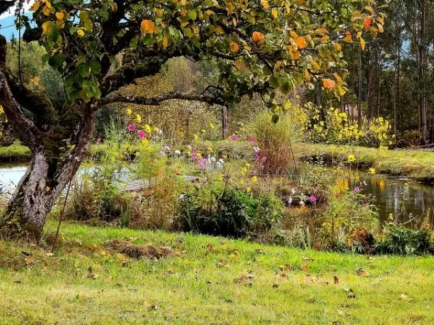 Gîte Le Syndicat, 3 pièces, 4 personnes - FR-1-589-125