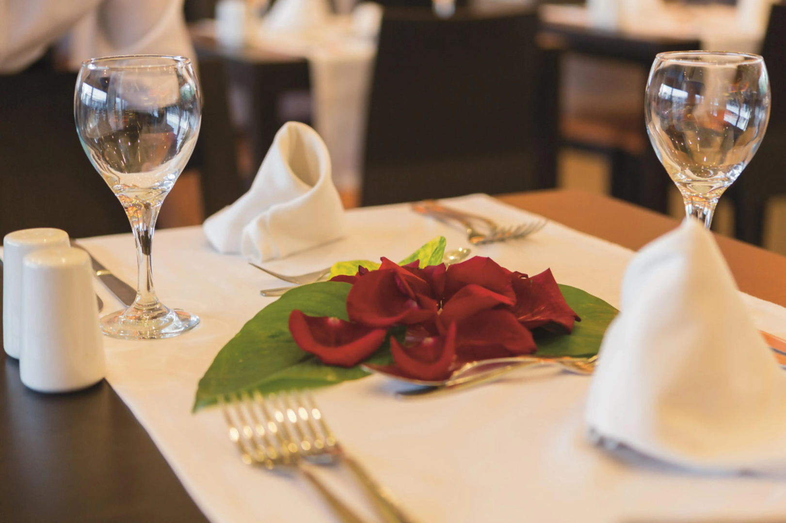 Hotel Riu Playacar - All Inclusive