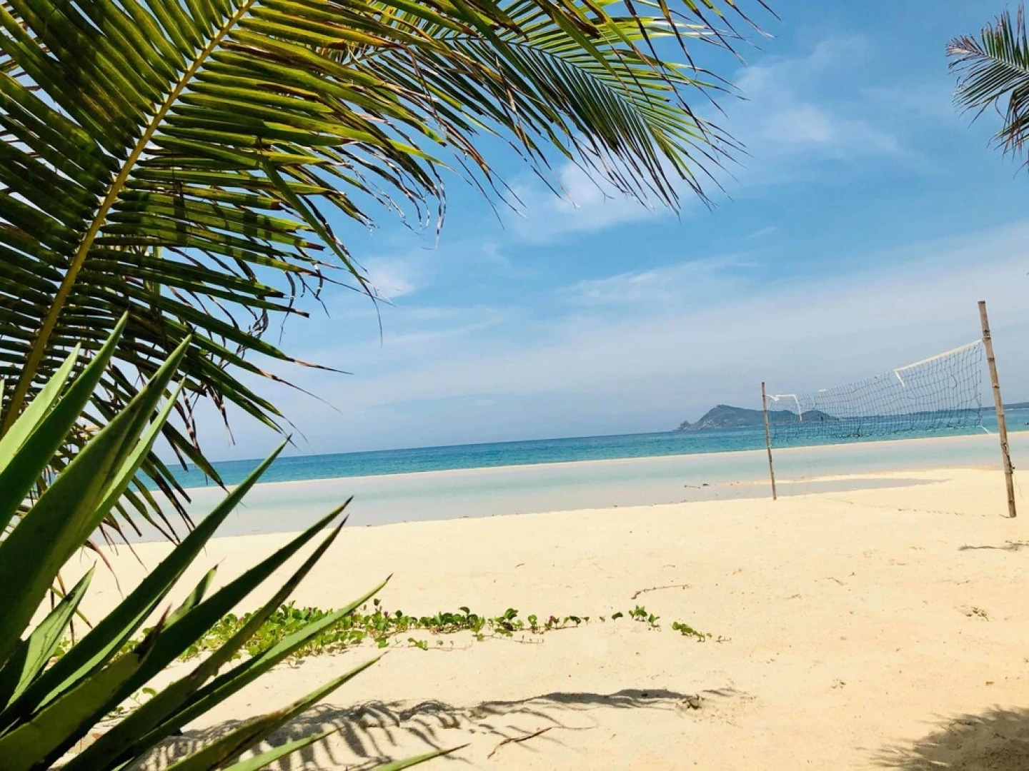 Ocean Beach Bungalows & Hostel