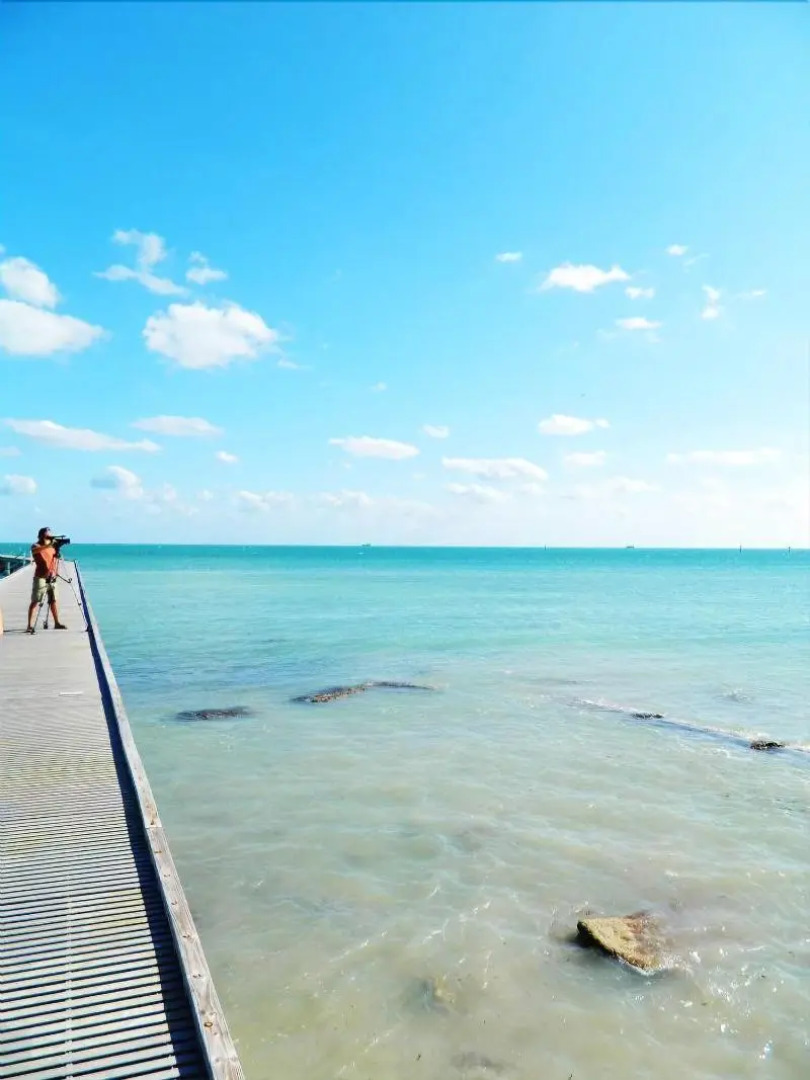 Amsterdam's Curry Mansion Inn