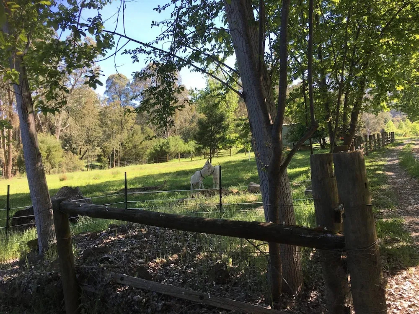 The Grange Homestead