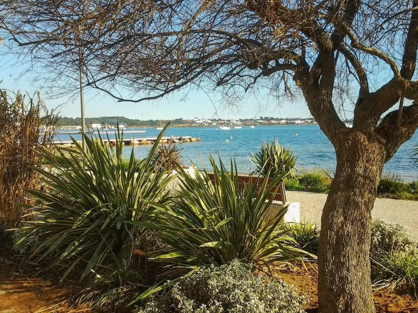 Apartment With one Bedroom in Balaruc-les-bains, With Wonderful Lake V