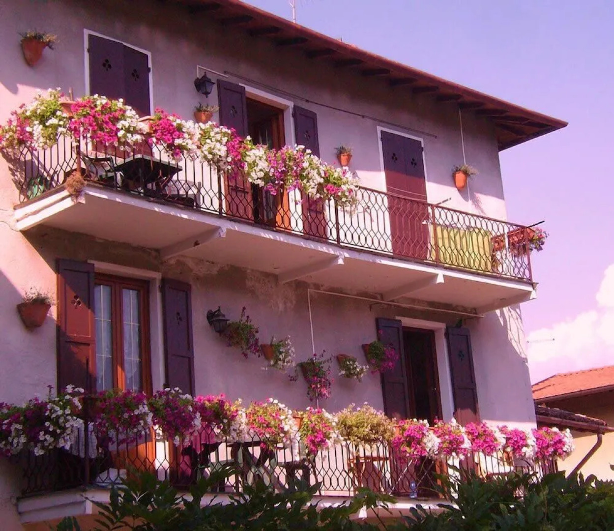 Azalea & Glicine House