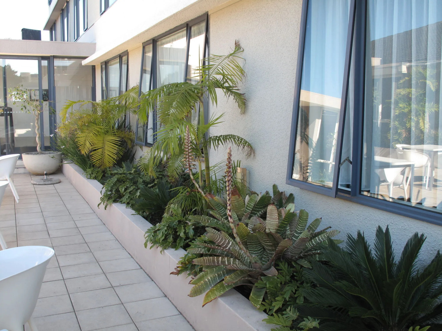 Plymouth International